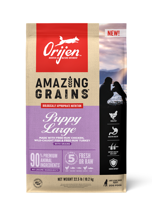 Best grain free large breed dog food on sale